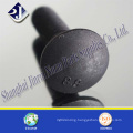 Carriage Bolt with Black Surface